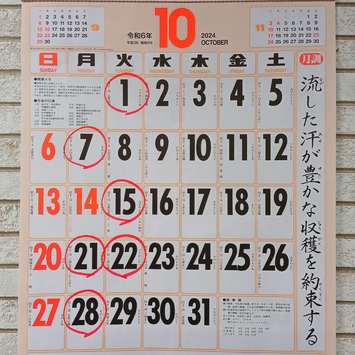 2024年10月の定休日